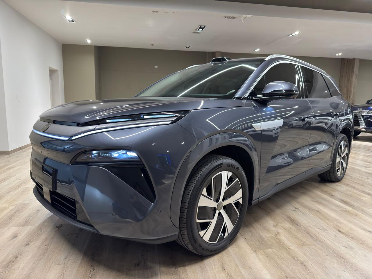 2025 BYD  TANG L