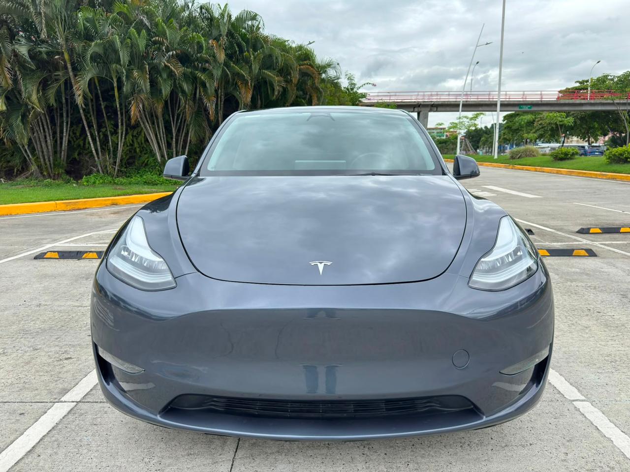 2023 TESLA  MODEL Y