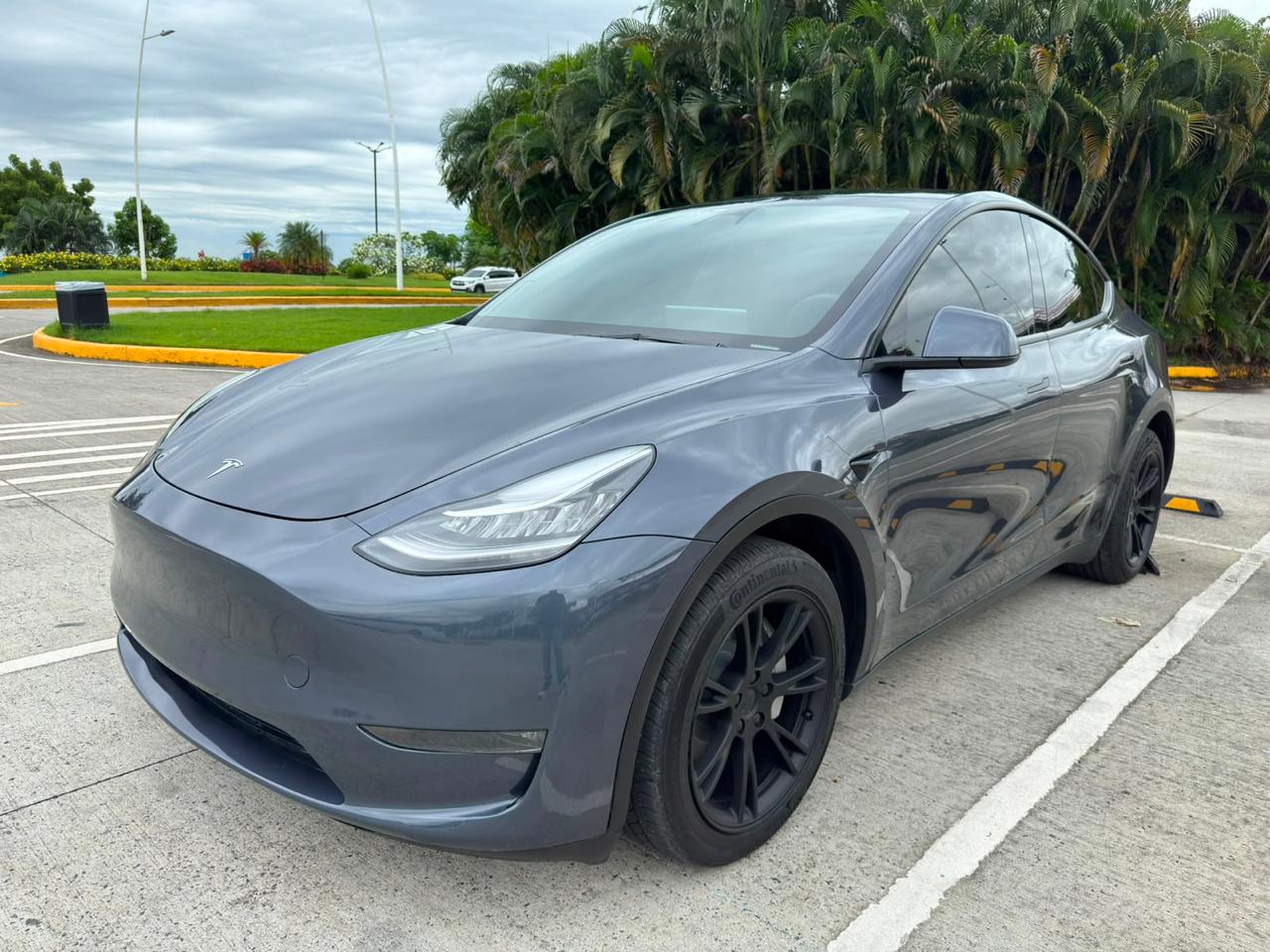 2023 TESLA  MODEL Y